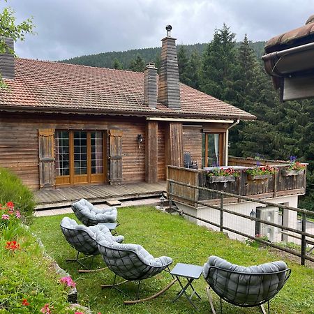 Gite Au 21 Vosgien Ventron Exterior foto